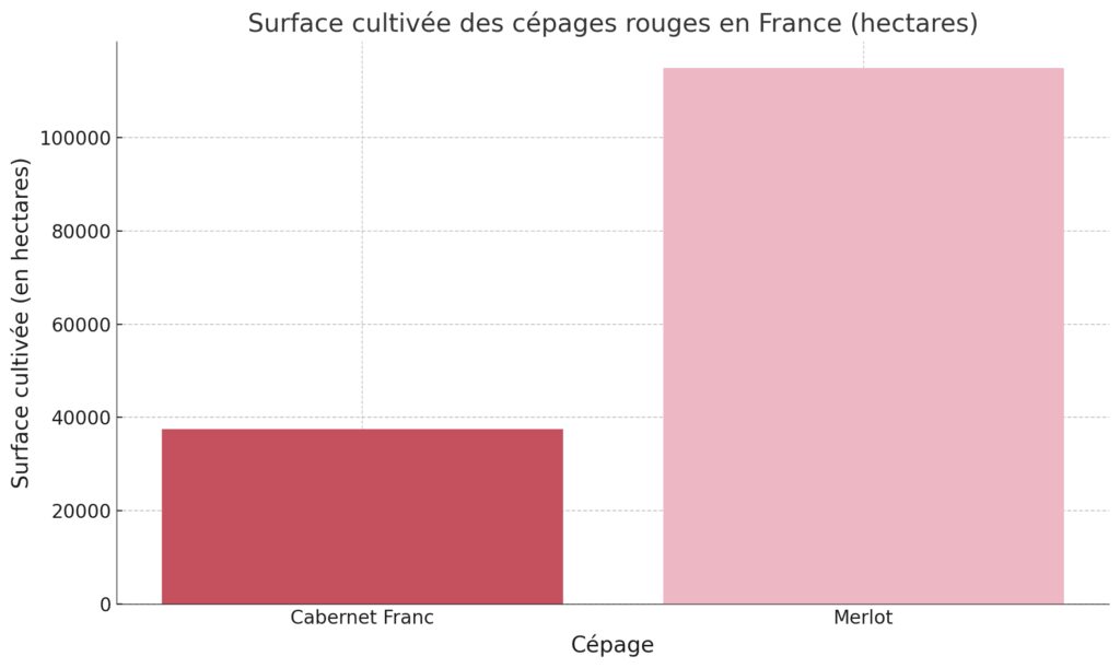 Les cépages emblématiques du vignoble français Les cépages emblématiques du vignoble français